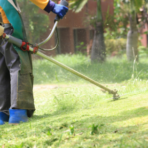 Grounds Maintenance